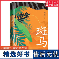 斑马傅真著小说2022年全新力作 人民文学出版社从北京到曼谷 跨越三千二百公里的治愈之旅唯爱与孤勇不可辜负 正版书籍