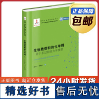 [正版]生物质燃料的化学㶲 张亚宁 哈尔滨工业大学出版社