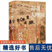 南诏大理国兴衰史 方铁著 全面阐述南诏、大理国崛起、兴盛与衰亡的过程 历史知识读物 中国通史书籍