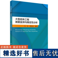 大型岩体工程微震监测与稳定性分析