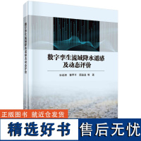 数字孪生流域降水遥感及动态评价