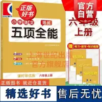 小学语文培优五项全能六年级上册 上海教育出版社 小初衔接精选文科教辅综合练习