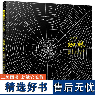 蜘蛛精装硬壳绘本图画书无字绘本小蛛网里的大宇宙国际知名艺术大师新宫晋向你展现生命的奥秘大自然的神奇3-8岁阅读启发正版童