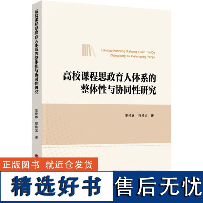 高校课程思政育人体系的整体性与协同性研究 王桂林,程桂龙 著 教育/教育普及文教 正版图书籍 人民出版社