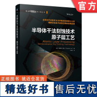 正版 半导体干法刻蚀技术 原子层工艺 索斯藤 莱尔 原子级保真度 热各向同性ALE 自由基刻蚀 定向ALE 反应离子