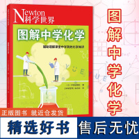 正版 图解中学化学 [日]牛顿出版社 牛顿出版社编《科学世界》杂志社译 科学出版社