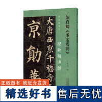 名家教你写(视频精讲版) 颜真卿《多宝塔碑》