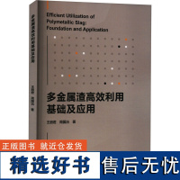 多金属渣高效利用基础及应用 王丽君,周国治 著 冶金工业专业科技 正版图书籍 冶金工业出版社