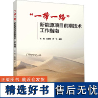 "一带一路"新能源项目前期技术工作指南 左斌,左莹郁,齐飞 编 建筑/水利(新)专业科技 正版图书籍 中国建筑工业出版社