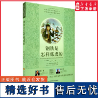 经典文学名著精选丛书钢铁是怎样炼成的 尼古拉奥斯特洛夫斯基著中小学生课外阅读读物青年励志向善向美的原动力正版