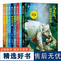 世界经典动物小说精粹全套8册 沈石溪全集的书白牙野性的呼唤精选一二西顿野生故事莱茜回家忠犬波比黑骏马