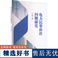 电力民事诉讼问题研究 王晓 著 诉讼法社科 正版图书籍 知识产权出版社