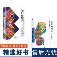 [套装2册]当下的力量+当下的力量实践手册(白金版) 埃克哈特·托利著 张德芬作序 青春心灵励志成功青年职场书籍