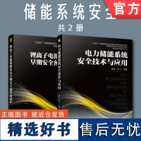 套装 正版 储能系统安全 共2册 电力储能系统安全技术与应用 锂离子电池储能电站早期安全预警及防护