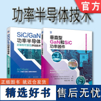 套装 正版 SiC和GaN功率半导体技术 共2册 垂直型GaN和SiC功率器件 SiC GaN功率半导体封装和可靠性