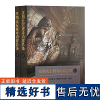 全新正版 庆阳北石窟寺内容总录 甘肃北石窟寺文物保护研究所 文物出版社