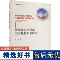 新能源发电设施空间优化布局研究 崔亮 著 经济理论专业科技 正版图书籍 中国财政经济出版社