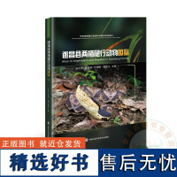 遂昌县两栖爬行动物图鉴(精) 9787511662248/华东两栖爬行类多样性保护研究系列