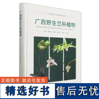 广西兰科植物(精)/广西兰花系列丛书 2038 韦霄//唐健民//吴林芳//柴胜丰//邹蓉 中国林业出版社