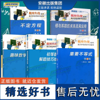 数林外传[5册不定方程+根与系数+趣味数学+初等数学+重要不等式数学满分全归纳高中通用高一高二高三中国科学技术大学出版社