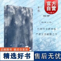 冬泳 缓步作者班宇作品集艺文志上海文艺出版社现当代文学作品单读书系026另著逍遥游