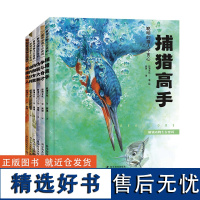 解锁动物生存密码 6册套装 6-12岁儿童动物科普绘本动物生存秘籍自然科普百科绘本深入7大洲自然秘境