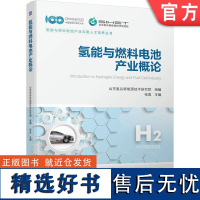 正版 氢能与燃料电池产业概论 张真 供给 储存 运输 加注 产业 双碳目标 化石能源 水电解 质子交换膜 催化剂 空