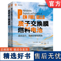 套装 正版 氢能与燃料电池技术及应用 共2册 氢安全工程基础 质子交换膜燃料电池混合动力 故障诊断和预测