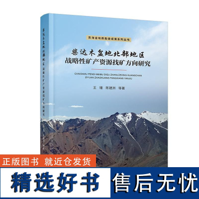 柴达木盆地北部地区战略性矿产资源找矿方向研究/青海省地质勘查成果系列丛书 王瑾//陈建洲 著 地质学专业科技