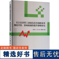 长江经济带工业绿色技术创新效率测度评价、影响机制及提升策略研究 闫华飞,肖静,郑新宇 著 各部门经济经管、励志