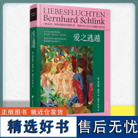 正版 爱之逃遁 朗读者作者施林克短篇小说集 收录短篇小说七篇 爱之下的隐情 德国当代小说书籍 上海译文出版社