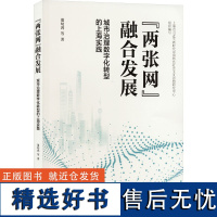 "两张网"融合发展 城市治理数字化转型的上海实践 董幼鸿 等 著 经济理论经管、励志 正版图书籍 上海人民出版社