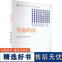 平面构成 杨正昱,陈志成,杨鹏 编 大学教材大中专 正版图书籍 华中科技大学出版社