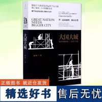 大国大城 当代中国的统一发展与平衡 陆铭著 罗辑思维节目 基于本土实证 以经济视角谏言社会问题 经济学家反成见聚共识之作