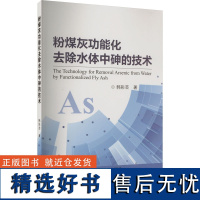 粉煤灰功能化去除水体中砷的技术 韩彩芸 著 工业技术其它专业科技 正版图书籍 冶金工业出版社