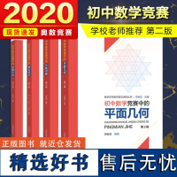 初中数学竞赛中的思维方法+数论初步+平面几何+代数问题 中科大奥林匹克数学讲座 初中奥林匹克数学学习教材初中数学奥数竞赛