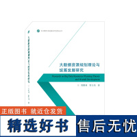 大数据资源规划理论与统筹发展研究