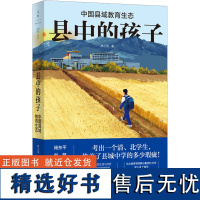 县中的孩子 中国县域教育生态 林小英 著 以县为主基础教育管理体制所面临困境的根源及其后果 上海人民出版社