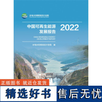 中国可再生能源发展报告2022