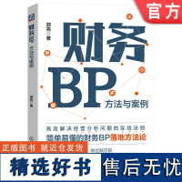 正版 财务BP 方法与案例 郭亮 定位 战略三角模型 业务 客户画像 指标 数据管理 报表 商业智能BI 报告 变革