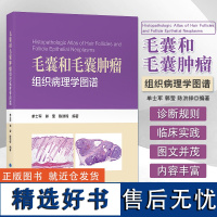 毛囊和毛囊肿瘤组织病理学图谱 单士军 郭莹 陈洪铎 著 病理术语诊断方法 皮肤病理医生学习及临床工作参考书 北京大学医学