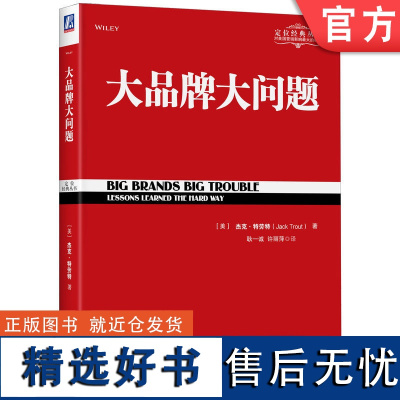 正版 品牌大问题 杰克 特劳特 商战经典 产品销售 品类法则 垄断 市场竞争 战略 股票期权 失败案例 认知能力 行