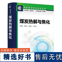 煤炭清洁转化技术丛书--煤炭热解与焦化