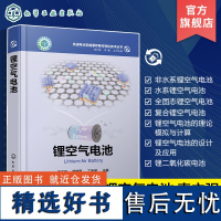 先进电化学能源存储与转化技术丛书 锂空气电池 麦立强 各类锂空气电池的工作原理发展现状目前挑战和未来方向 新能源材料专业