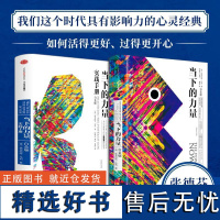 当下的力量 +当下的力量实践手册 白金版 埃克哈特·托利 中信出版社 成功励志正版书籍 中信出版社