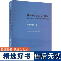 从精准扶贫到乡村振兴 政企扶贫纽带对企业法律风险的治理机制 刘慧,宁嘉琪 著 法学理论社科 正版图书籍