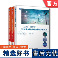 套装 正版 智能电网应用丛书 共3册 双碳目标下智能电网故障检测的小波应用 深入理解智能电网 智能电网可再生能源系统