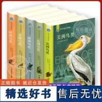 世界鸟类百科图鉴全5册 自然界生物五大洲了解鸟类知识科普读物艺术鉴赏手绘精美插图视觉盛宴冒险书澳洲欧洲亚洲美洲非洲精装硬