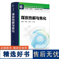 煤炭清洁转化技术丛书 煤炭热解与焦化 煤炭热解 煤炭炼焦 煤焦油加工 煤炭焦化 煤炭分级利用 煤炭热解与焦化领域新基础理