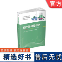 正版 客户侧储能技术 袁晓冬 许庆强 陈久林 李建林 分布式储能 电池管理系统 储能变流器 系统接口 储能电站并网